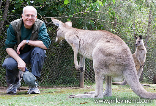 Dr. Jeff Levine with kangaroos in Australia Dr. Jeffrey Levine spoke on Geriatrics, Humanistic Medicine, and Art in Australia
